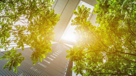 green buildings - CLIMATE CAMPAIGN ONLY.jpg